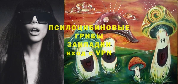 дживик Алексин