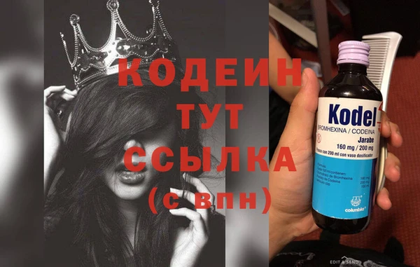 дживик Абаза