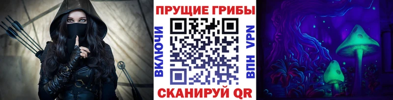 где найти наркотики  Тарко-Сале  Галлюциногенные грибы Psilocybe 